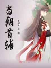 当朝首辅是什么官