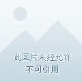 特种军医TXT免费